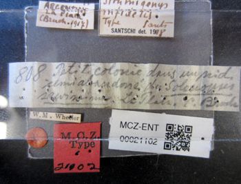 Media type: image;   Entomology 21102 Aspect: labels